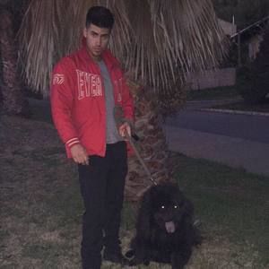 Meet your Posher, Cisco